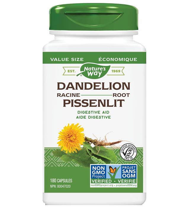 dandilion-625x700