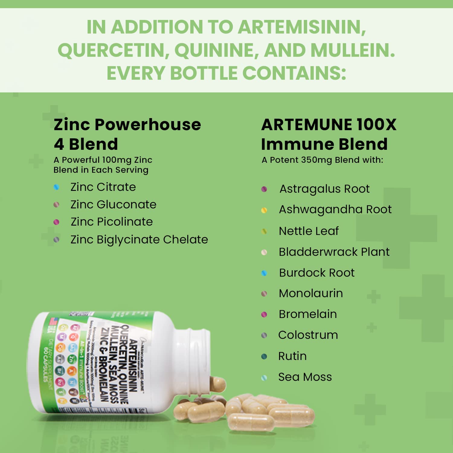 Artemisinin 2500mg Quercetin 1000mg Zinc 100mg Mullein Quinine Supplement with Sea Moss Bromelain Ashwagandha Root Nettle Leaf Bladderwrack Burdock Root Monolaurin Colostrum Rutin - Immune Support USA - Image 4